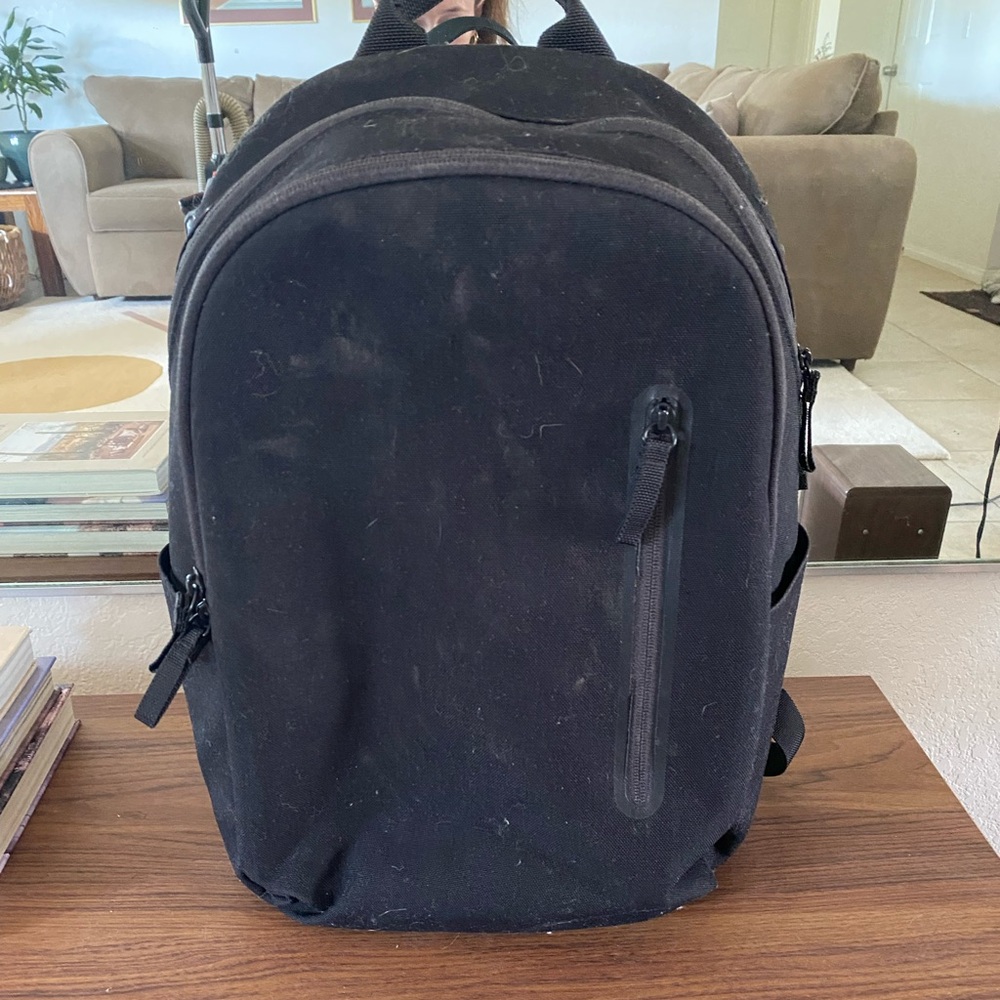 Everlane black commuter backpack